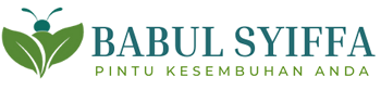 Babul Syiffa Logo Pertama